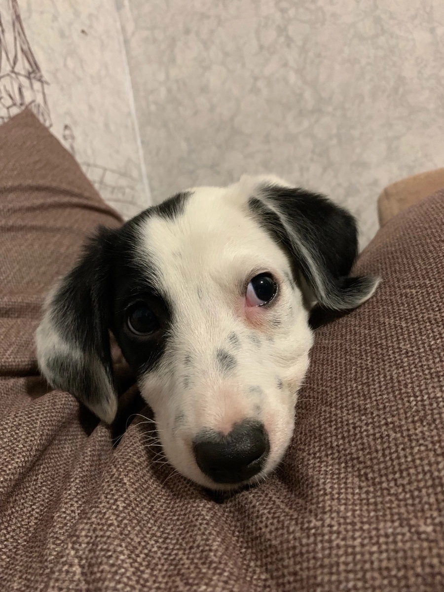 Здравствуйте!!! 