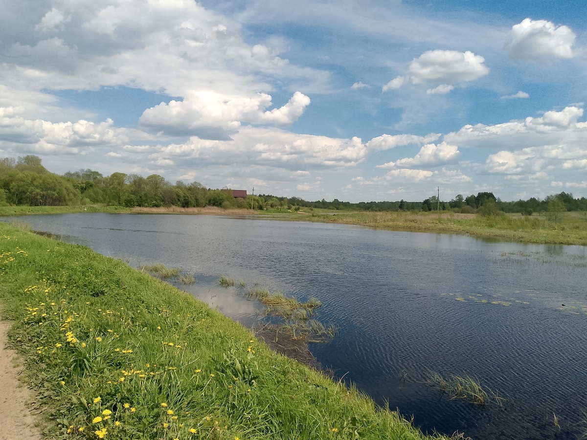 Река Улейма