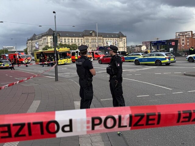    Фото: ТАСС/АР/Steven Hutchings