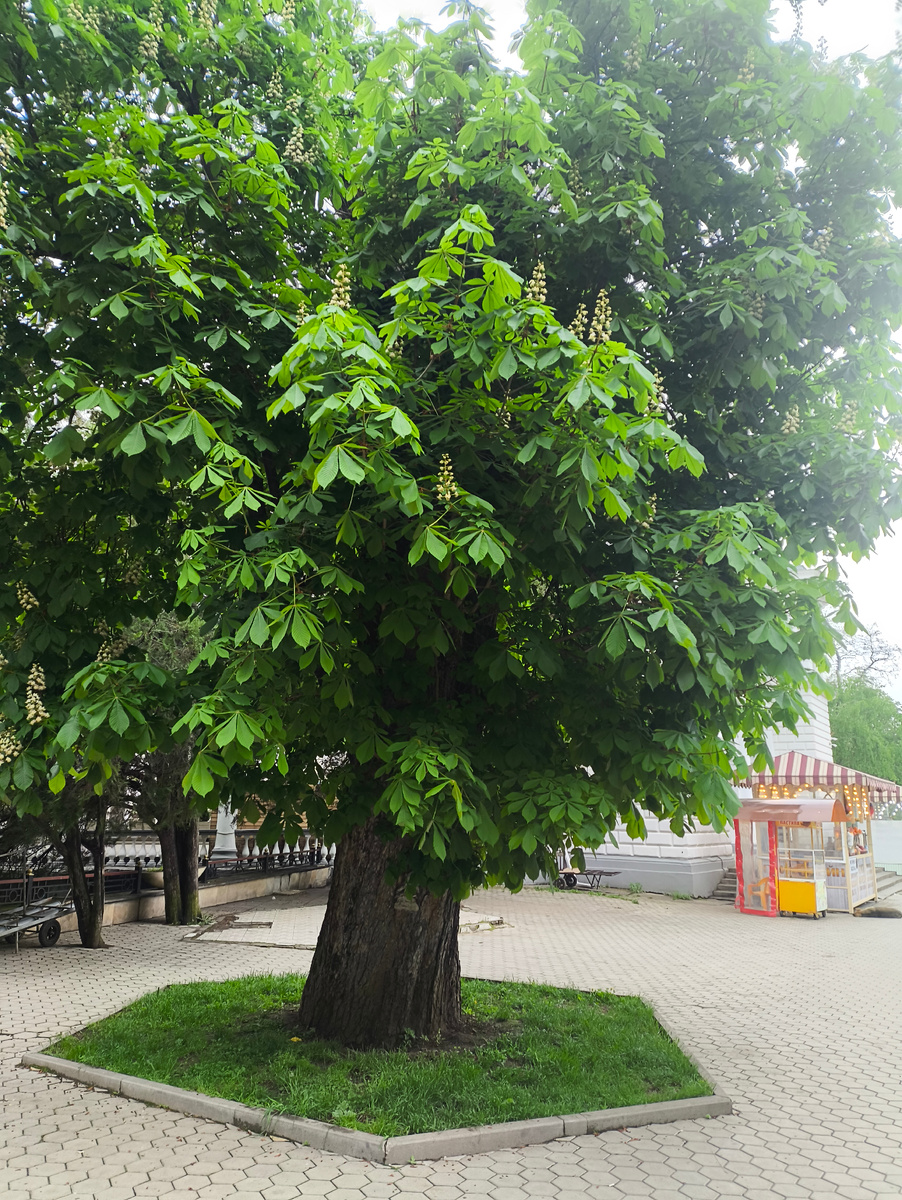 Фото автора.