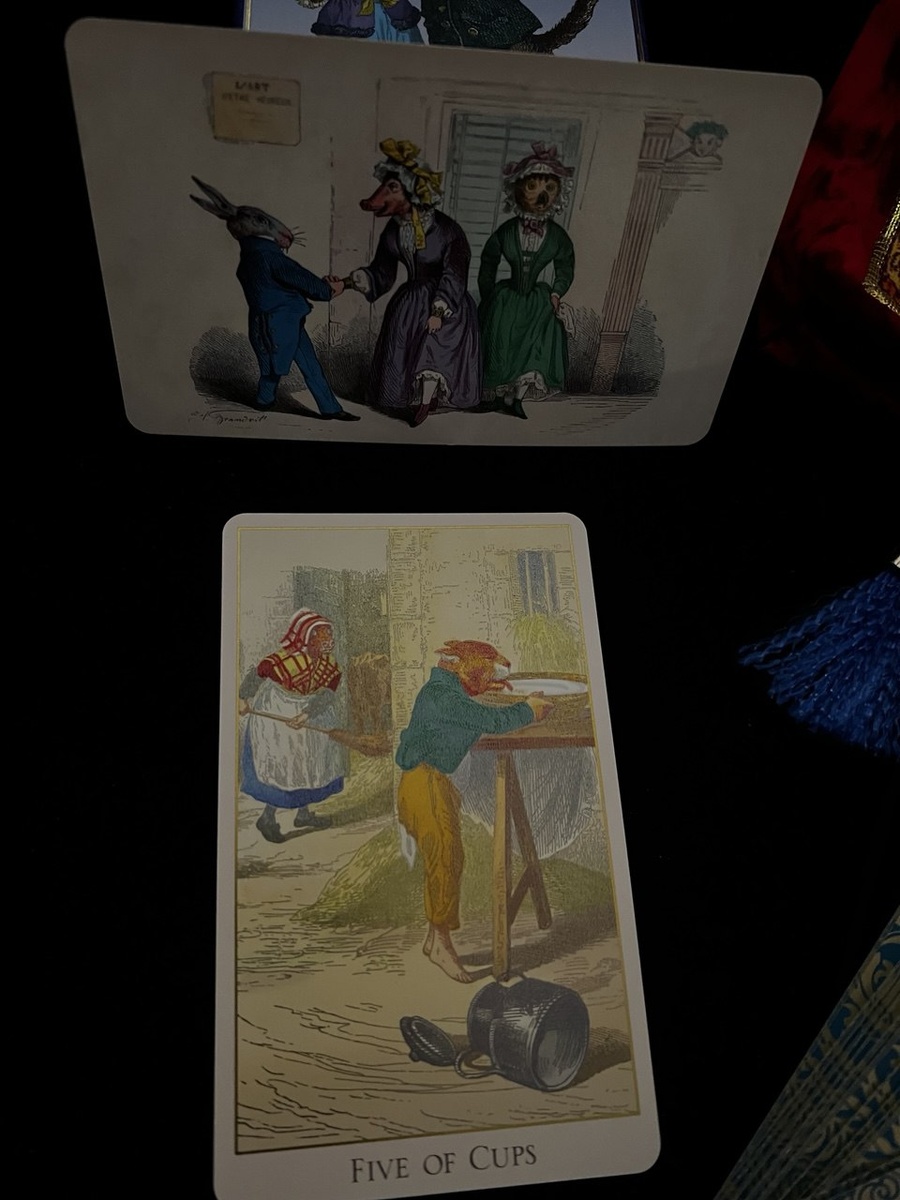 Пятерка Кубков "Таро Фантастического зверинца"