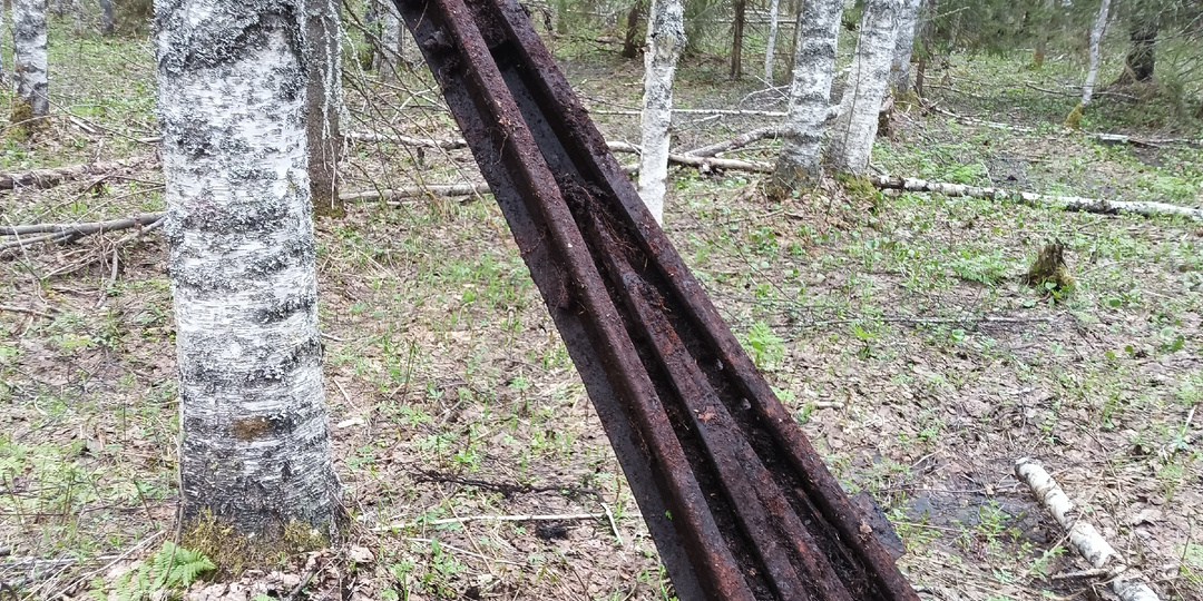 Металло поиск в железном лесу. Разведка усов УЖД.