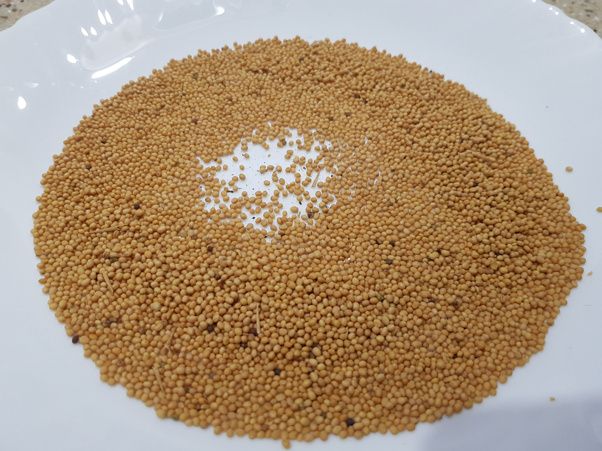 Семена горчицы