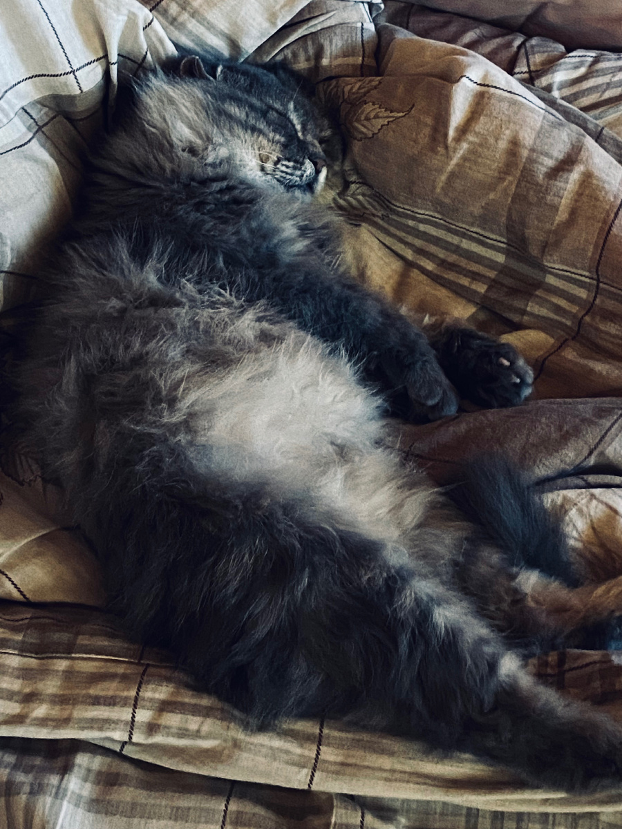 Что-то я утомился читать, надо отдохнуть!