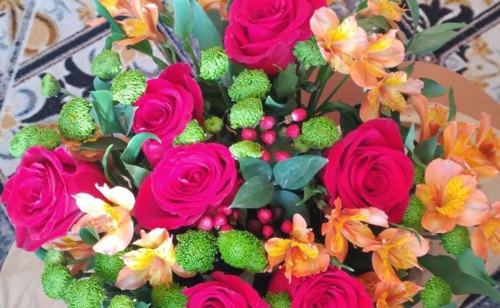    Фото: тг-канал А.Хинштейна