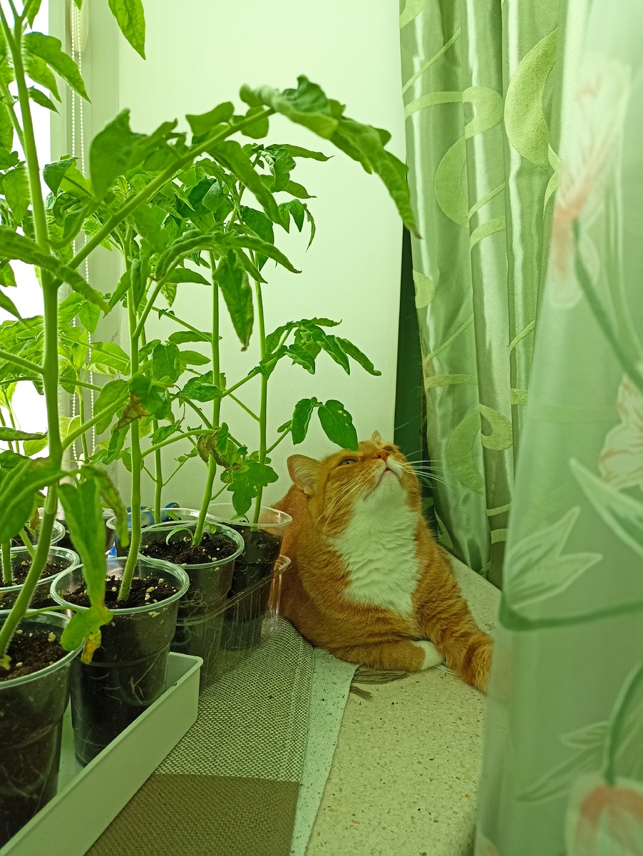 Василий медитирует. Фото автора