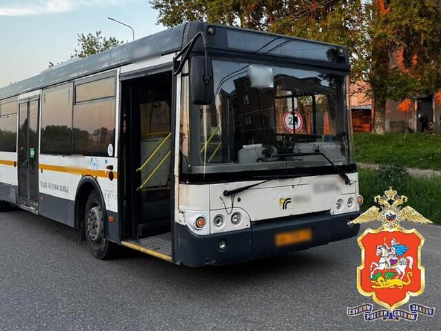    Фото: телеграм-канал "Подмосковная полиция"