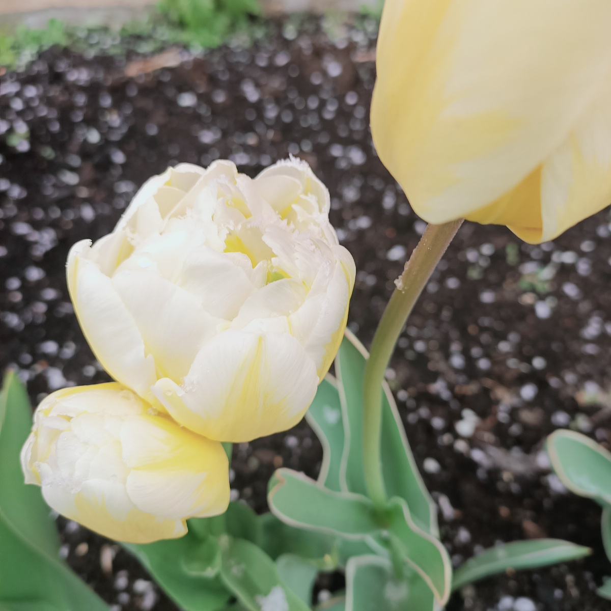 Из личного архива