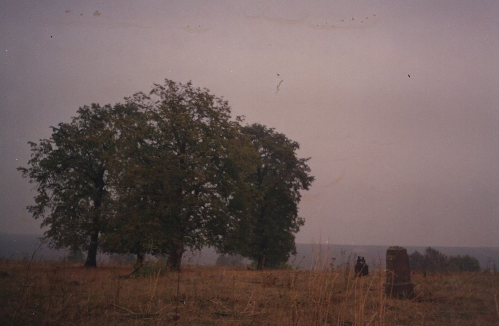 Остатки старого кладбища села Добрячево. Конец 1990-х. Снимки из личного архива жителя села Загорье