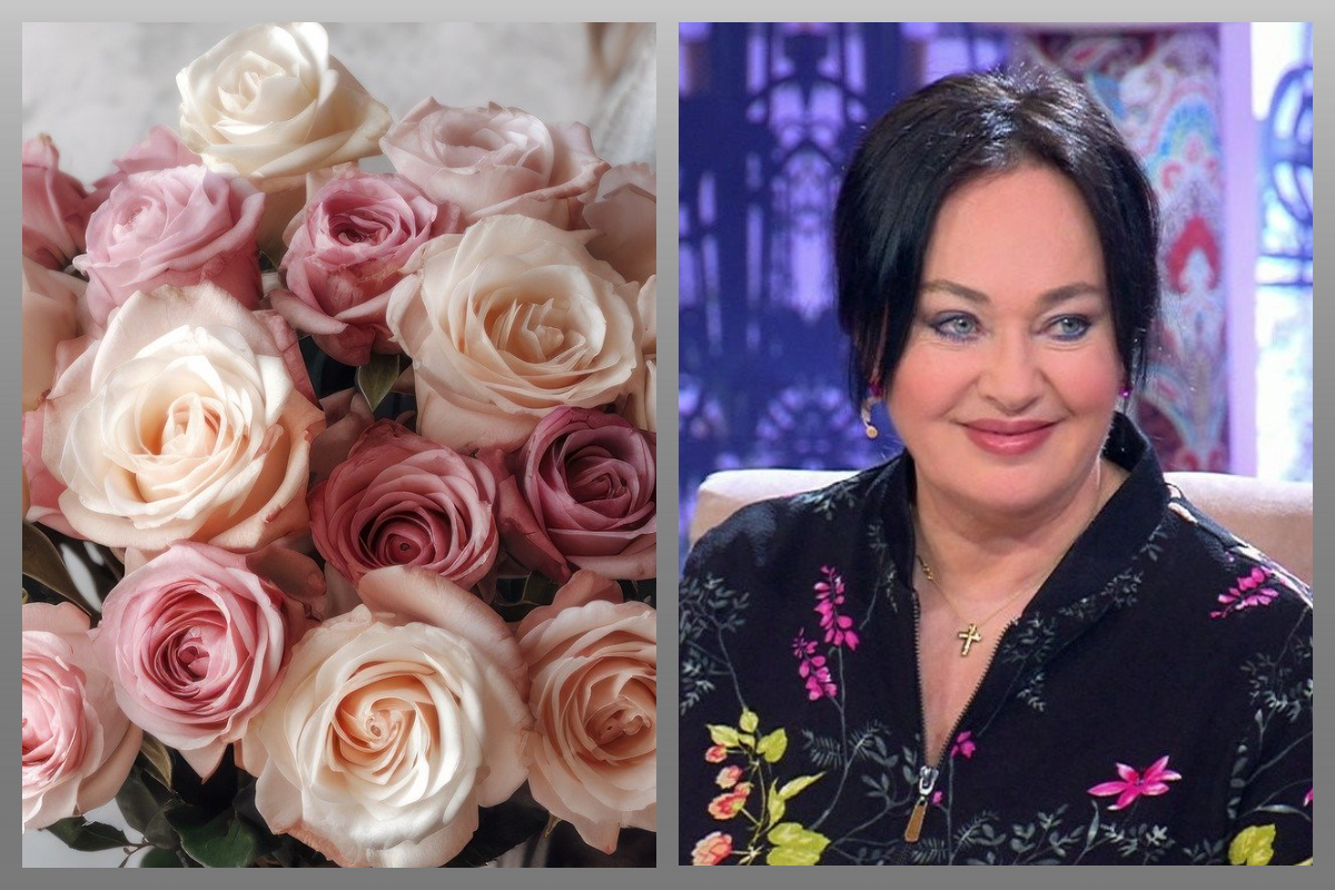 Лариса Гузеева/скриншот с программы "Давай поженимся" на Первом канале/pixabay.com