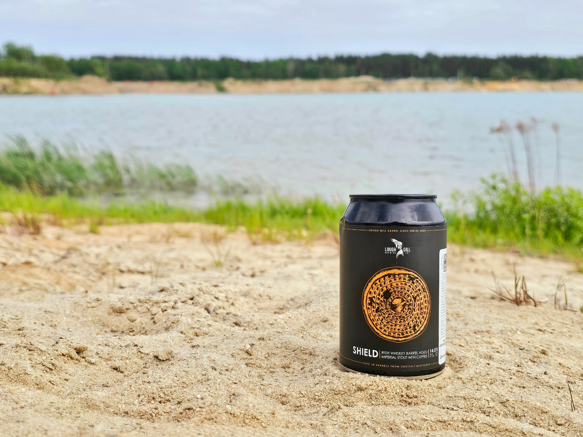 Lough Gill Shield, фото автора