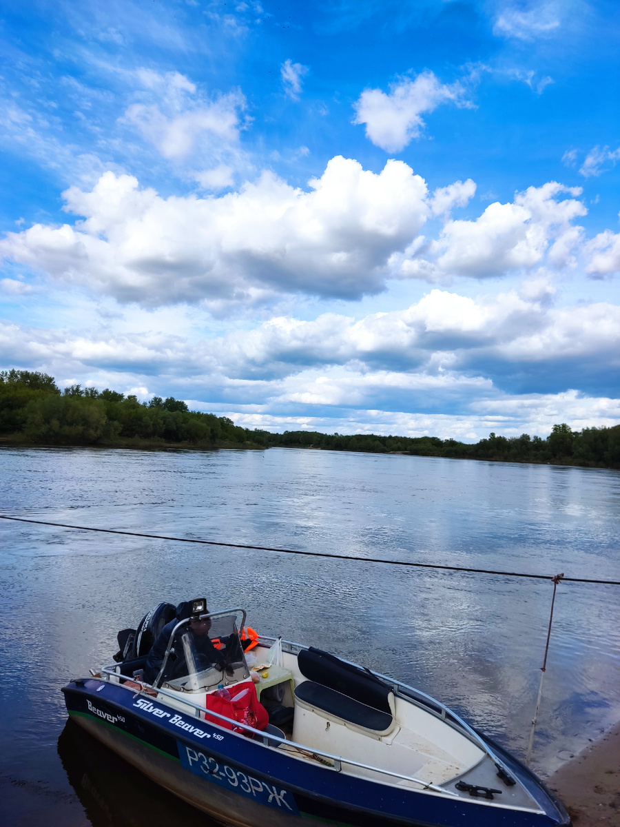 Река, лес, природа- это радость и умиротворение! 