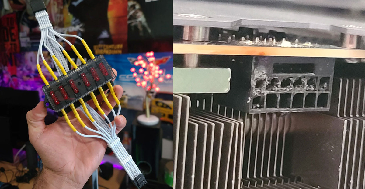 Фото: Source: Reddit/malcanore18  📷
