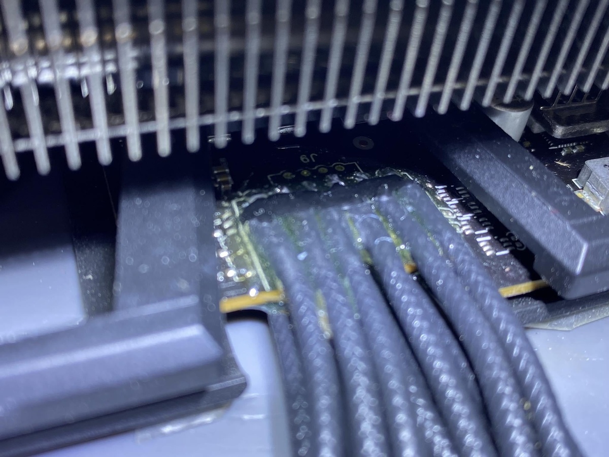 Фото: Reddit/jlodvo  📷
