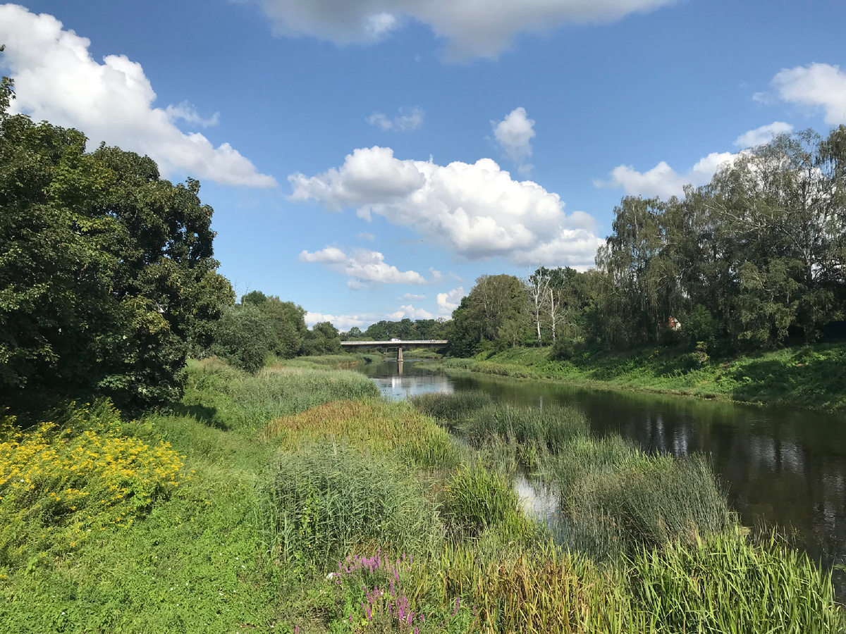 Правдинск. Формы и краски природы. Фото автора