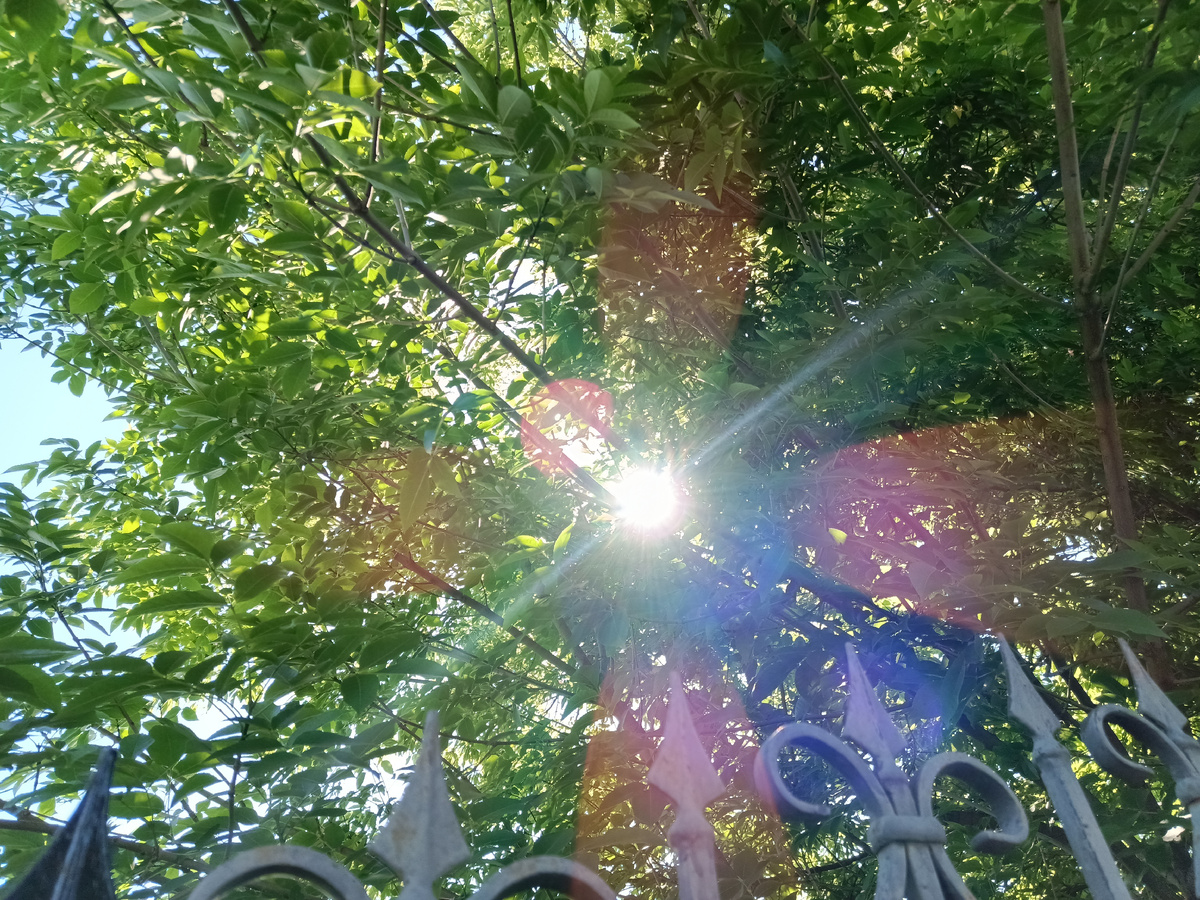 Солнышко на работе сегодня так и хотело чтоб я валик бросил🙂. 