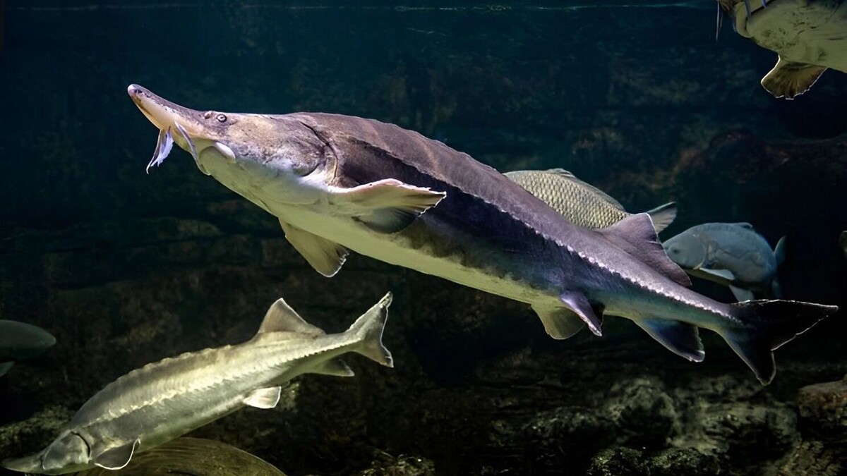     Источник: freepik.com