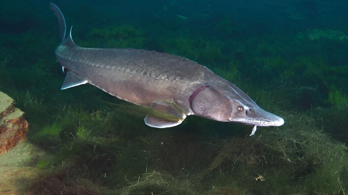     Источник: freepik.com