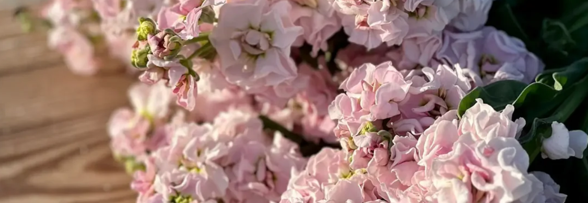 Фото Therapy Of Flowers