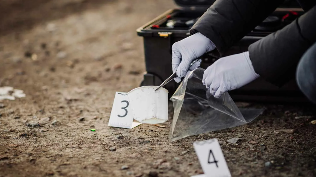 Фото взято из открытых источников