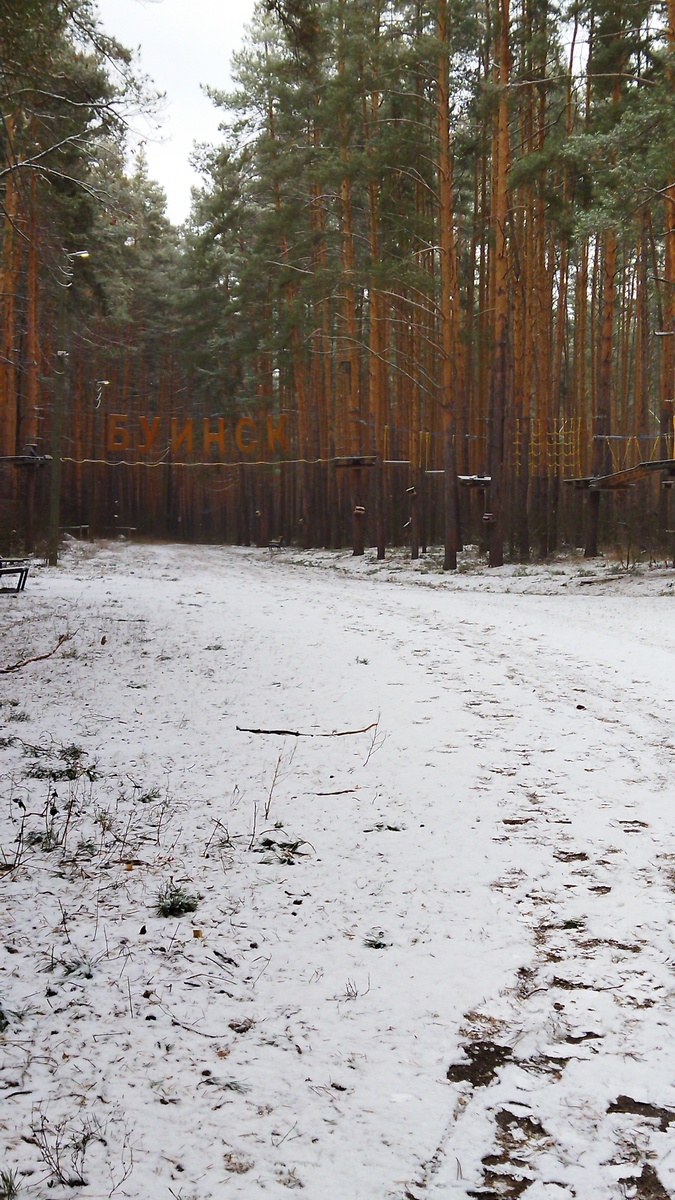 В сосновом лесу. Sky - park