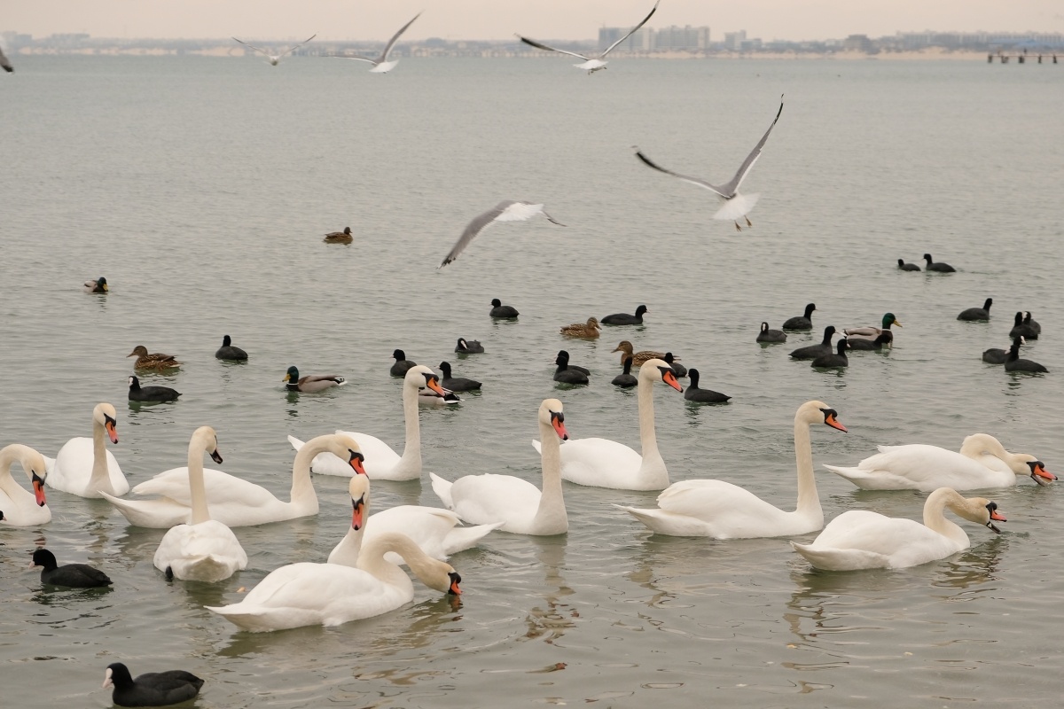 Фото: Михаил Ступин