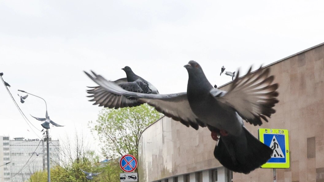    Belkin Alexey/news.ru/Globallookpress