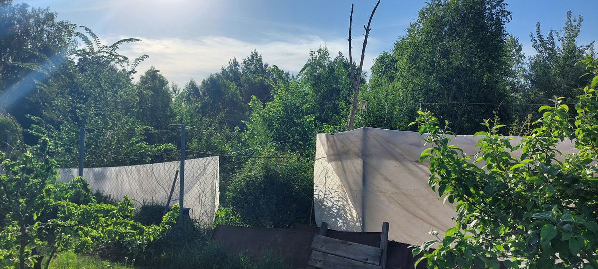  Забота о виноградниках затмевает всё!