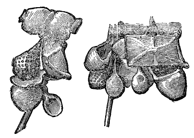 Сарцина, изображённая на колонне Траяна