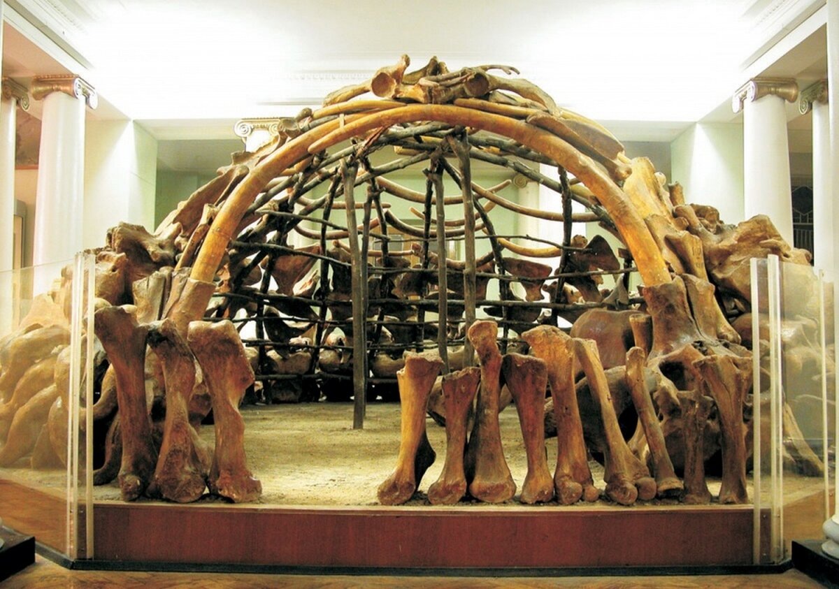 Жилище из костей мамонта