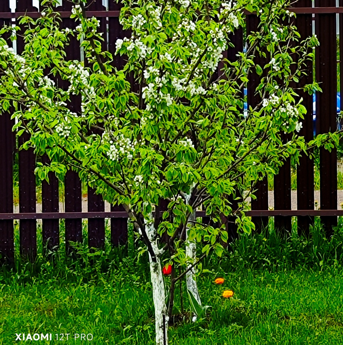Моя пациентка😀.