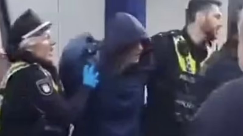    Фото: скрин кадров задержания