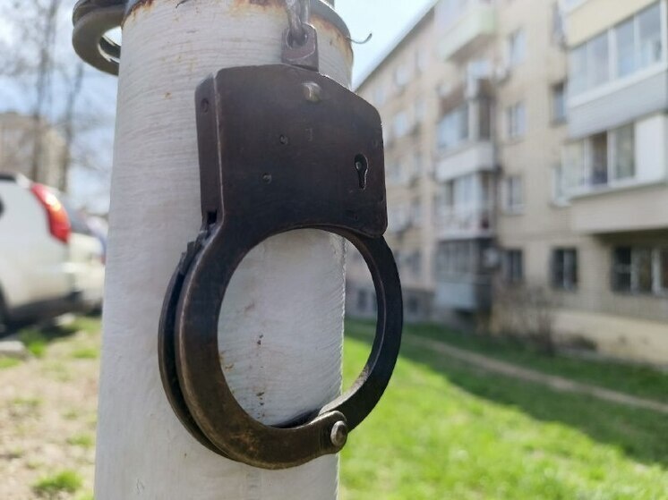     В Хабаровске автомастер подозревается в краже двигателя и коробки передач у клиентов / Маргарита Сурина