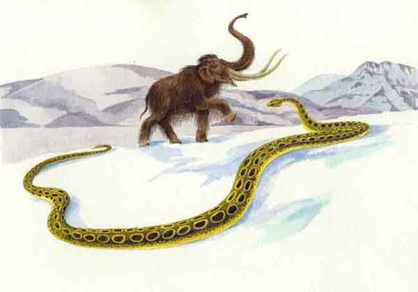 Сэли и Дябдар