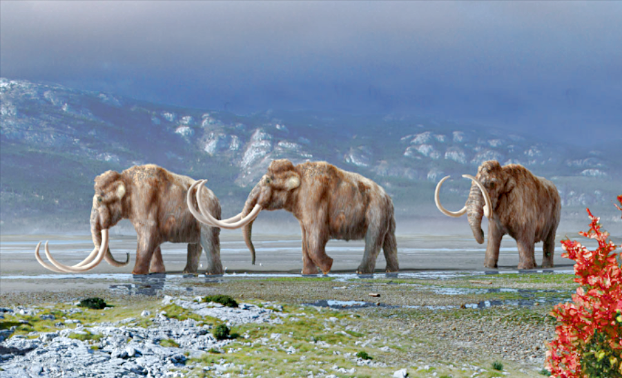 Снимок: paleohunters.ru