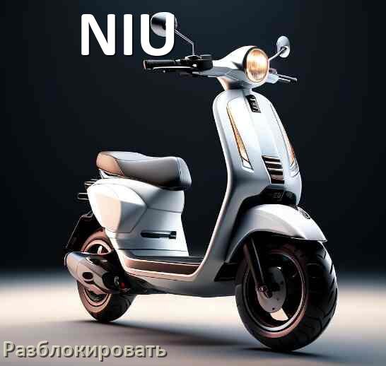 
Как разблокировать электросамокат NIU через Bluetooth и приложение