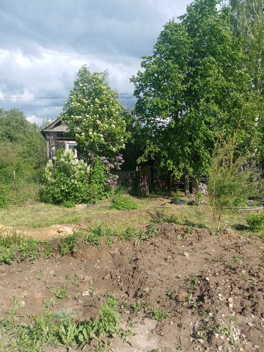 Просто фото одного из домов по нашей улице. 