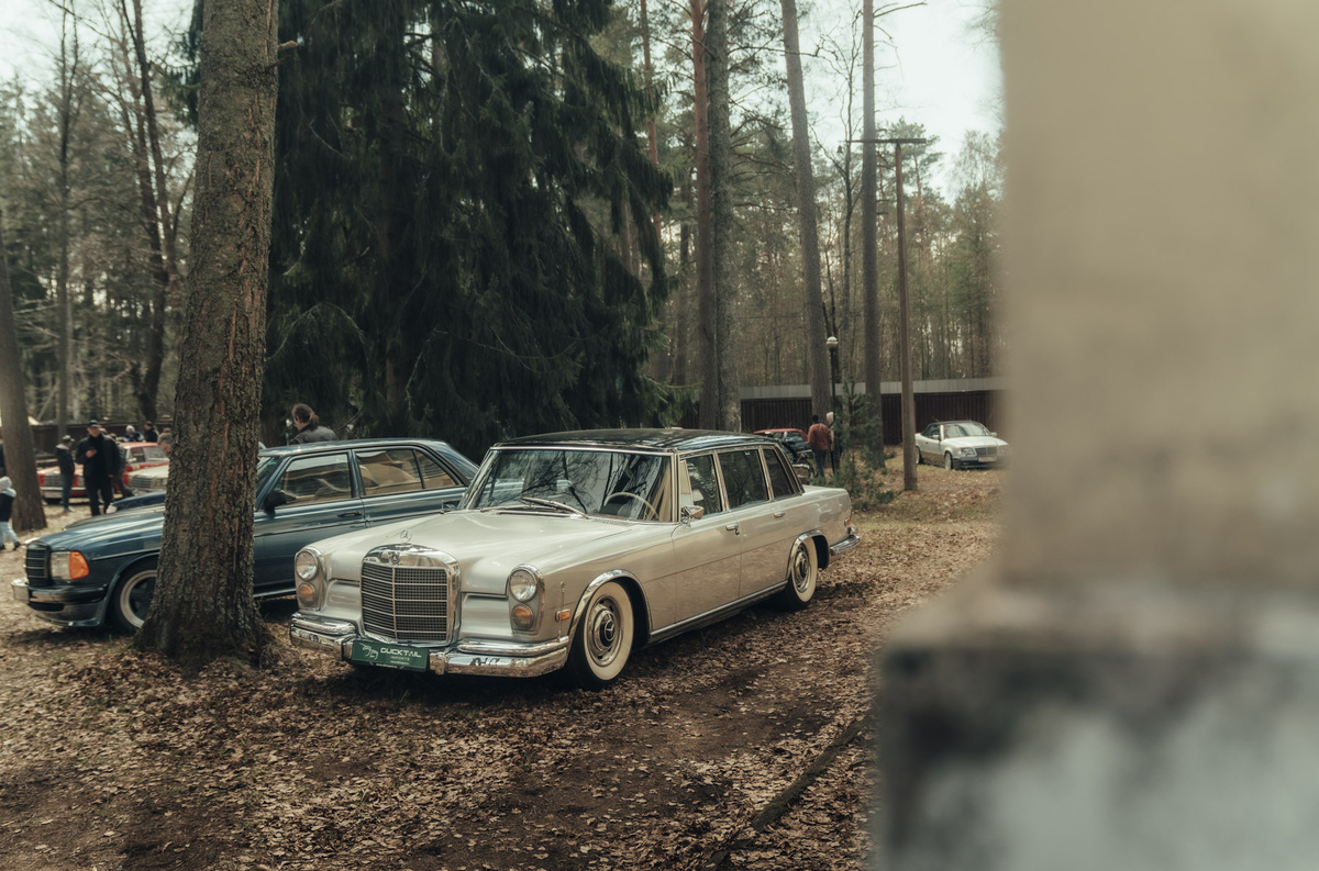    Mercedes-Benz 600 (W100) «Grosser» способен украсить любую выставку, но появляются на людях эти автомобили крайне редко. И дело не только в тираже менее трех тысяч экземпляров. В своё время этот лимузин стал любимцем политиков и знаменитостей, а многие пуристы считают, что он по сей день не имеет идеологического преемника в модельном ряду Mercedes-Benz и остается самым роскошным автомобилем в истории марки.   
Максим Подколзин/GRAND PICNIC