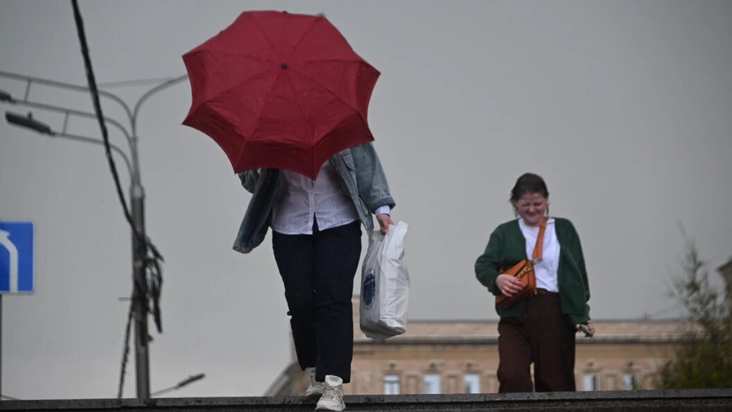    Фото: Komsomolskaya Pravda/Globallookpress