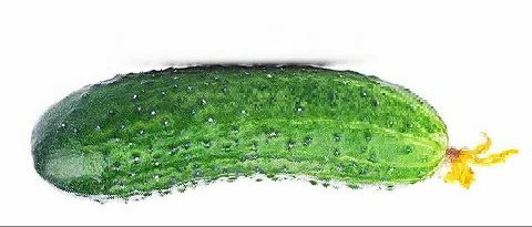 Фото из интернета. 