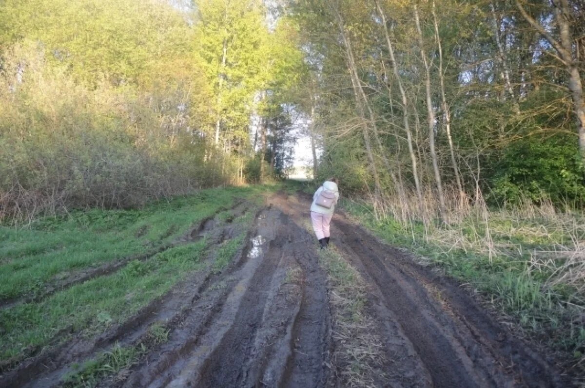    Испытания начинаются сразу же после съезда с региональной дороги.