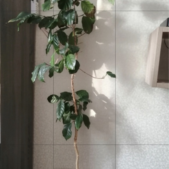 Фото открытых источников.