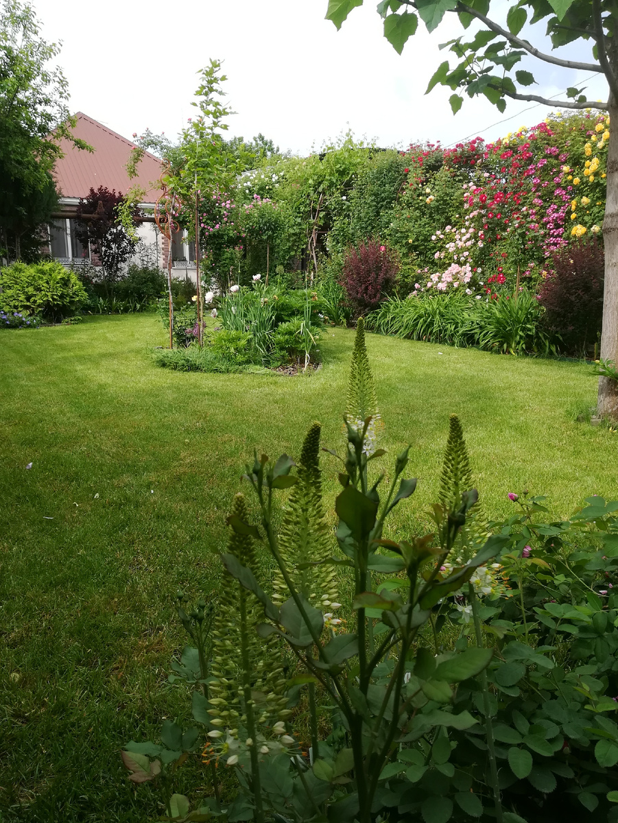 Последствия позднего кошения. 