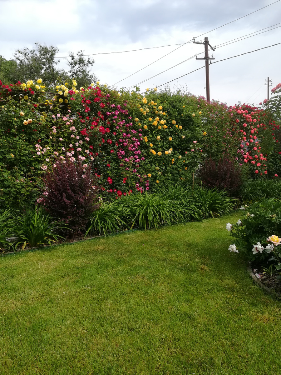 Не изумруд.