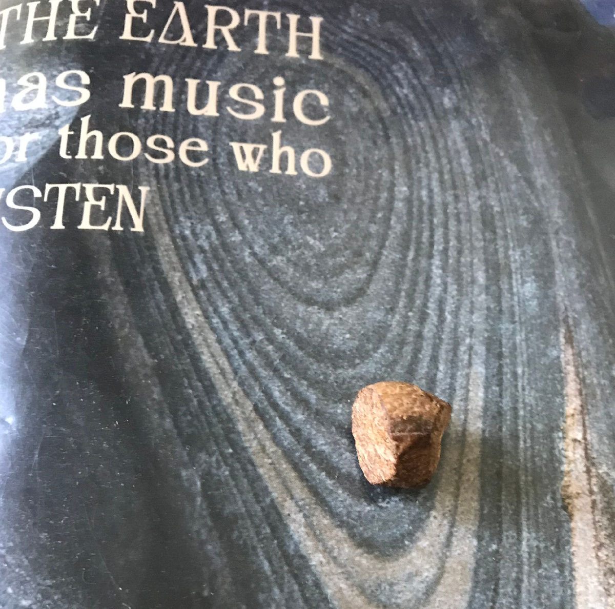 фото автора. Надпись на дневнике № 32 " На земле есть музыка для тех, кто слушает" и мистер мускатный орех, конечно)