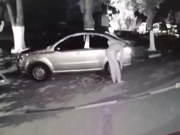    фото: дондей Веселовские вести