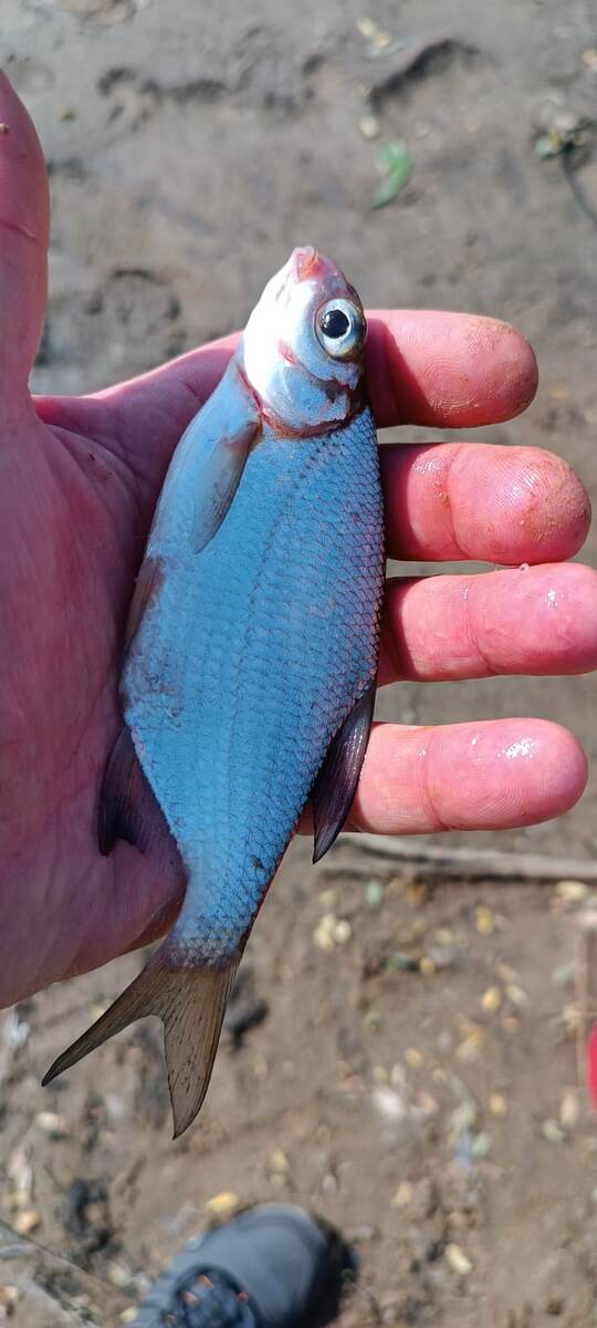 Фото от мужа. 