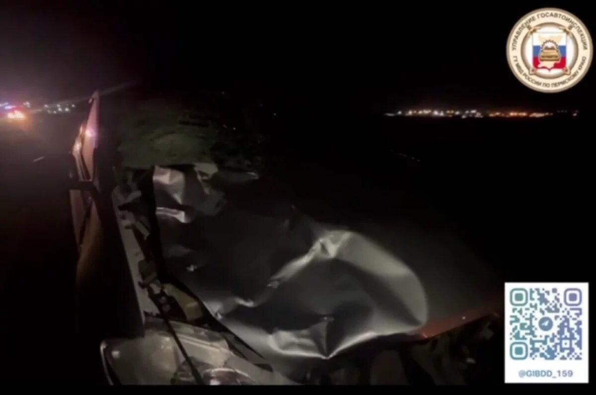    На трассе Кострома – Пермь произошло смертельное ДТП с пешеходом