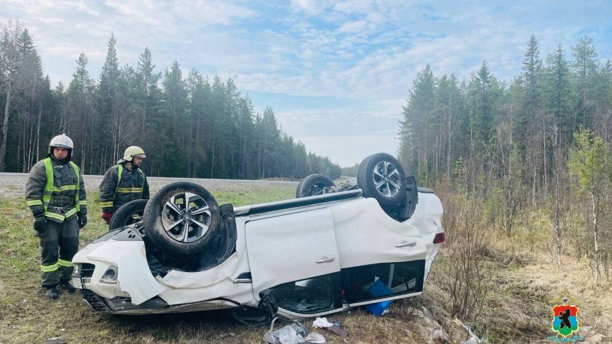    Фото: t.me/Karelia_police