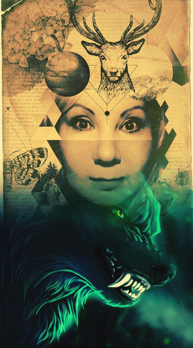 Фотоколлаж автора статьи 